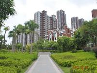 融晟·公园大地实景图(7.26)