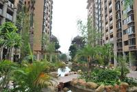 雄泰·香缇丽景6月实景图