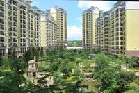 远辰·金湾蓝岸7月实景图