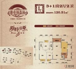 【维也纳32#L户型】3室2厅2卫1厨2阳台