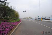 保利·大江郡实景图