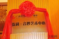 保利·大江郡实景图