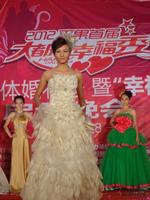 2012平果首届大都汇幸福秀系列活动6月28日启动晚会