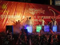 2012平果首届大都汇幸福秀系列活动6月28日启动晚会