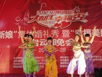 2012平果首届大都汇幸福秀系列活动6月28日启动晚会
