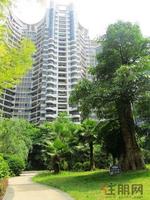 小区内实景
