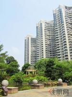 小区内实景