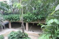 万昌·邕江明珠实景图(7.26)