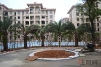 碧园·海语城实景图