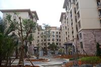 碧园·海语城实景图