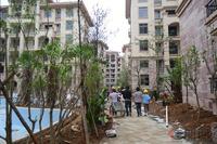 碧园·海语城实景图