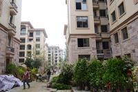 碧园·海语城实景图