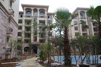 碧园·海语城实景图