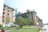 同和泊湾实景图2012-3-7