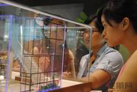汇东星城看房团(8.11)