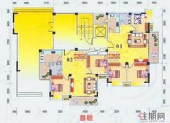 【6栋5单元首层】