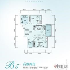 【B5】2室2厅1卫2阳台