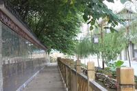 江南水街实景图(8.11)