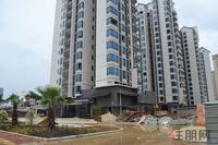 南地·海江南实景图2012-8-13