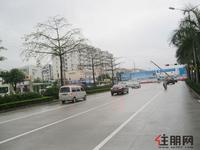 云星·钱隆江南实景图(2.6)
