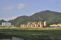 金地·白云山世家实景图 