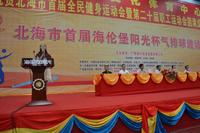 海伦堡·阳光气排球比赛