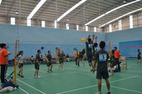 海伦堡·阳光气排球比赛