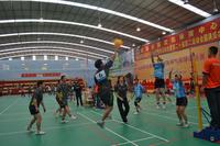 海伦堡·阳光气排球比赛