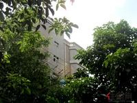 2012.8.21阳光城实景图