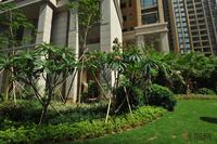 邕江明珠园林实景