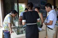 南地·海江南新售楼部开放