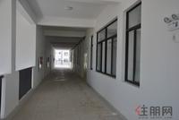 南湖小学实景图(5.8)
