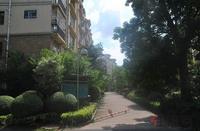 项目园林实景图(5.8)