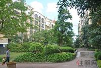 项目园林实景图(5.8)
