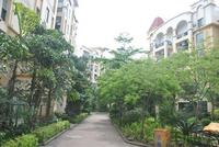 项目园林实景图(5.8)