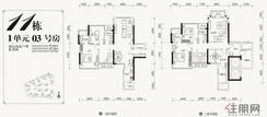 【11#楼中楼1单元03户型】