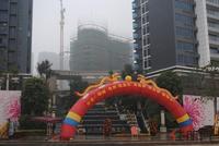 2012.2.7项目实景图