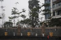 2012.2.7项目园林实景图