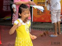 2012.9.8阳光城烤全羊美食节