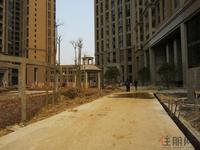 东方巴黎3.27实景