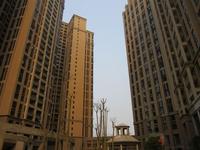 东方巴黎3.27实景