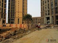 东方巴黎3.27实景