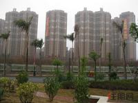 2012.2.7项目实景图