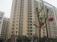 城市之春 实景图