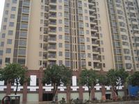 城市之春 实景图