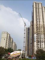 锦绣湾花园实景图2012-3-29