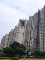 锦绣湾花园实景图2012-3-29