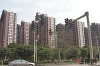 融晟·公园大地实景图(2.1)