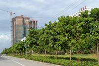 恒昌·城市丽景实景图2012-7-9