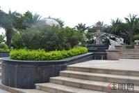 天赐碧园实景图2012-6-11